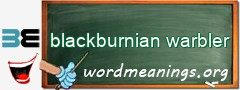 WordMeaning blackboard for blackburnian warbler